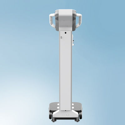 Scala di misura del peso del bagaglio da 300 kg con display a LED e certificato CE