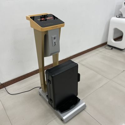 Scala di peso delle monete per il corpo umano e il bagaglio con peso nominale di 300 kg