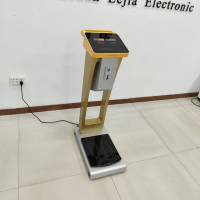 Scala di peso delle monete per il corpo umano e il bagaglio con peso nominale di 300 kg