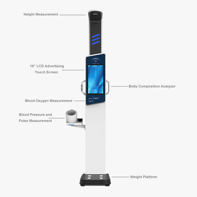 Analisatore del corpo LCD touch screen da 19&quot; per l'analisi completa del peso e dell'altezza degli adulti