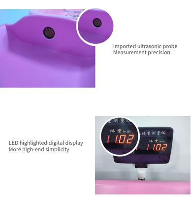 Scala elettronica professionale per pesare i bambini Display LCD 10 G Divisione esclusiva