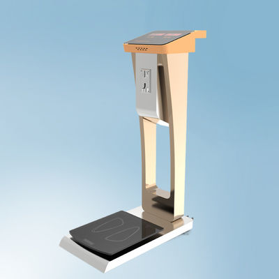 Scala per il peso facile degli bagagli negli alberghi aeroportuali Dimensione complessiva 33*55*100cm Peso corporeo 35kg