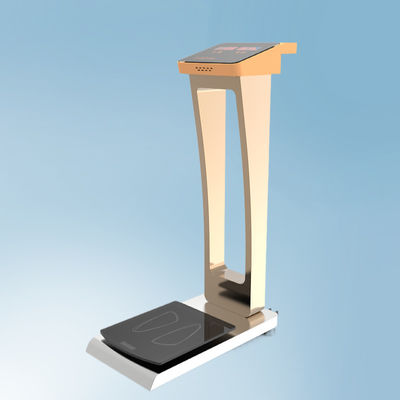 Scala per il peso facile degli bagagli negli alberghi aeroportuali Dimensione complessiva 33*55*100cm Peso corporeo 35kg