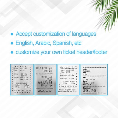 Pesatrice BMI multi-linguistica a monete con stampante e supporto personalizzato