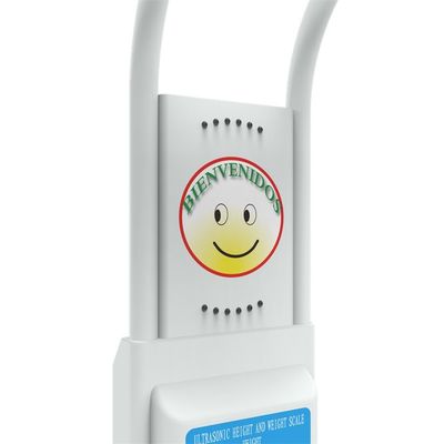 480 volte all'ora LED Misura Balanza del corpo Pesatura 33*55*235cm